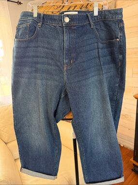 Lane Bryant Relaxed Fit Dark Blue Denim Jeans